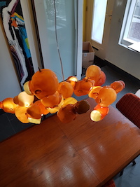 BULB OF LICH PRIJS € 2100 =